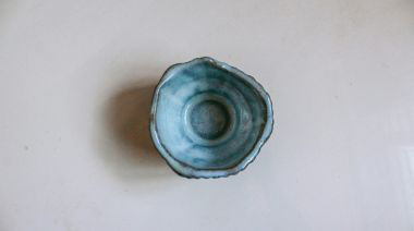 plating-instructions-image